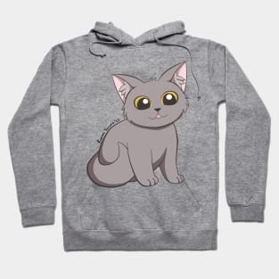 Amarah Kitty Hoodie